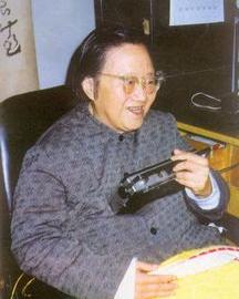 Wei Junyi